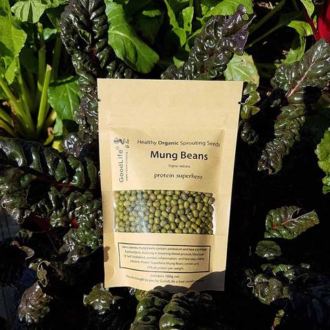 GOODLIFE SEEDS MUNG BEANS 100G