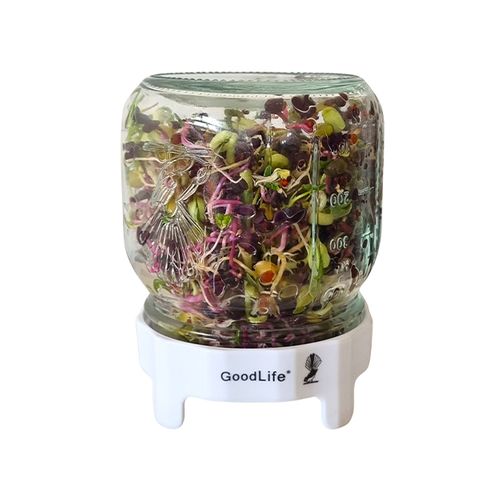 GOODLIFE 500ML SPROUTING JAR KIT