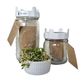 GOODLIFE 500ML SPROUTING JAR KIT