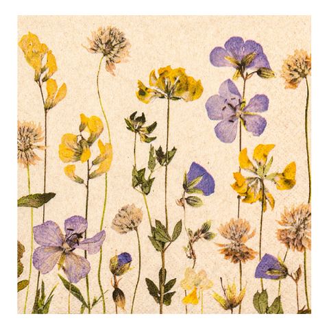 HF PRESSED FLOWERS NAPKINS - 20 PK
