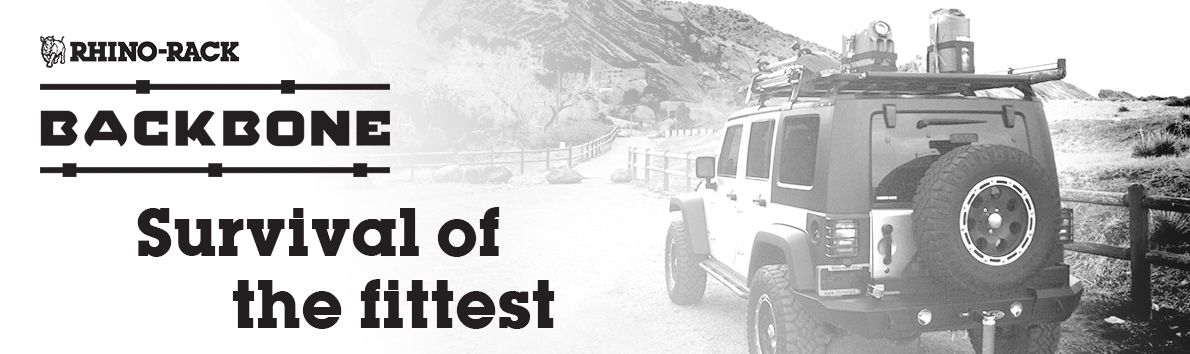 Rhino Pioneer Backbone Banner