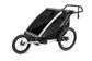 Thule Chariot Lite 1 Agave