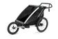 Thule Chariot Lite 2  Agave