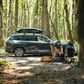 Thule Force 3 Medium