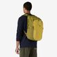 Patagonia Refugio Day Pack 30L - Graze Green