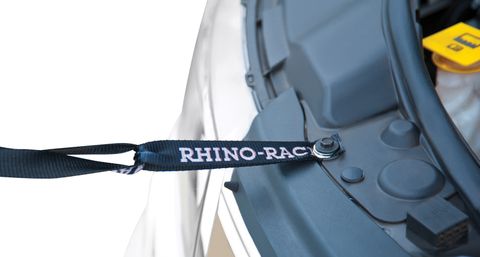 Rhino Anchor Strap