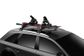 Thule Snowpack M 4 Pair Black