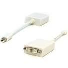 DVI F To Display Port M Adapter