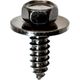 Self Tapping Screws/ Sems