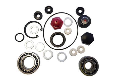 Oil seals kit for 33L/min Maruyama pump