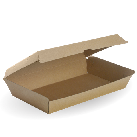 Biopak Family Box 290mm L x 170mm W x 85mm H Slv 50