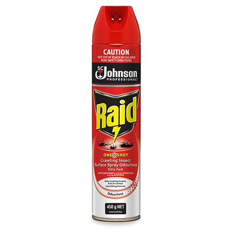 Raid One Shot Crawling Insect Surface Spray Odourless 450gm