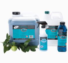 Lencia Bathroom Maintainer 15Lt