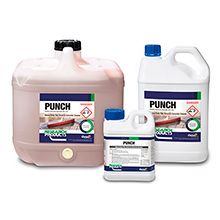 Punch Tile and Grout Cleaner 1Lt