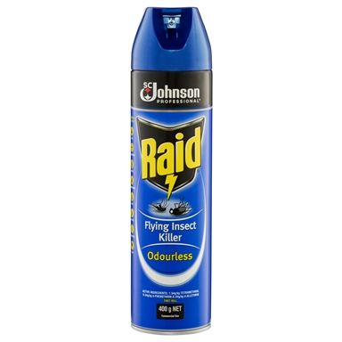 Raid Insect Killer Odourless 400G