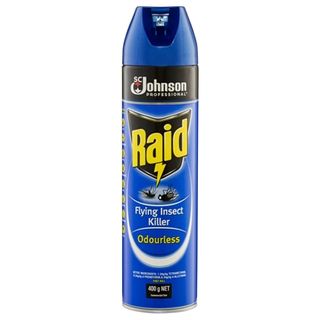 Raid Insect Killer Odourless 400G