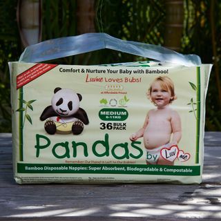 Pandas Retail Medium Bamboo Disposble Nappies 6-11kg  4x18 Pkts