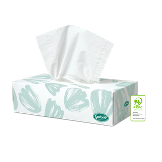 Sorbent Professional Silky White Facial Tissue 2 Ply 100 Sheets Ctn48
