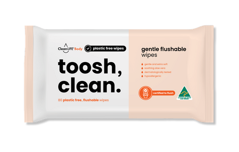 CleanLife Toosh Clean 80 Soft Pack 200mmx140mm  Ctn12