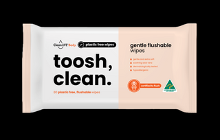 CleanLife Toosh Wipe Soft Pack Pkt 80