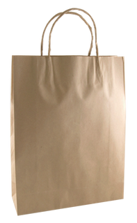 BD Bag Brown Kraft Small Ctn 250