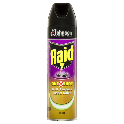 Raid One Shot Multipurpose Insect Killer 375G