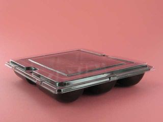 Oyster Tray 6 Pack No Lid Ctn 1000