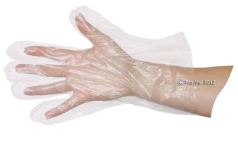 Glove Poly D One Size Fits All Clear Pkt 500