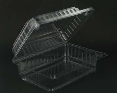 Hinged Cont Clear  (135 x 90 x 60H) Slv 100