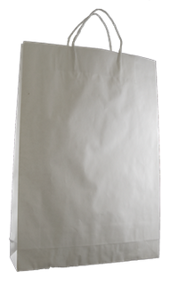 BD Bag White Kraft Medium Ctn 250