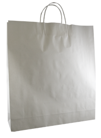 BD Bag White Kraft Large Ctn 250