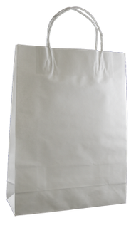 BD Bag White Kraft Small Ctn 250