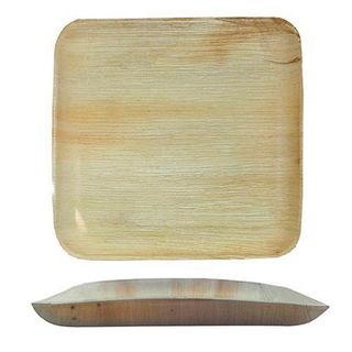 Plate Verterra Extra Large Square Dinner 9x9" Slv25