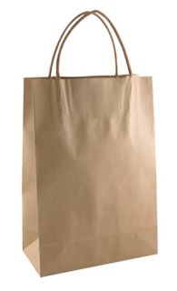 Loop Handle Brown Kraft Bag  Junior Ctn 250