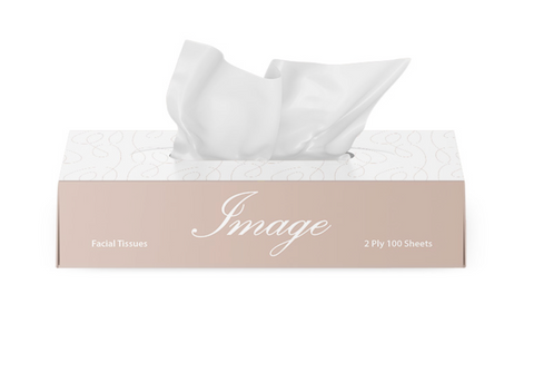 Entice Facial Tissues 2 ply 100sh 48/ctn