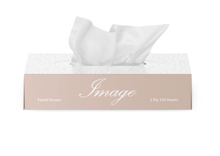 Entice Facial Tissues 2 ply 100sh 48/ctn