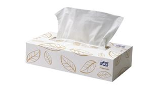 Tork Premium Facial Tissues 2ply 100s 48/ctn