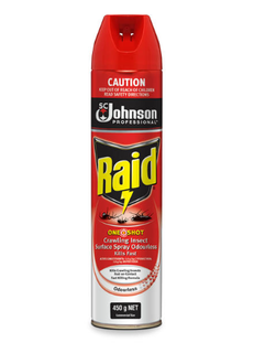 Raid Crawling Insect Odourles Surface Spray 450gm