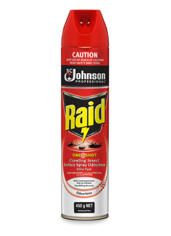 Raid Crawling Insect Odourles Surface Spray 450gm