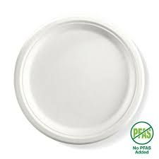 Biopak 25cm /10" Round Plant Fibre Plate,500/CTN