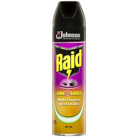 Raid Professional One Shot Multipurpose Insect Killer Citrus 375g