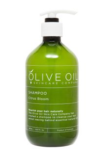 Olive Oil Skincare Co Pump Dispensers Citrus Bloom Shampoo 500mL (ctn 12)