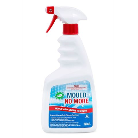 Clean Plus Mould No More 750ml