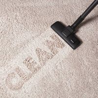 Solve Carpet Cleaning Challenges