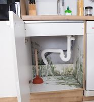 Mould Removal Chemicals and Protocols