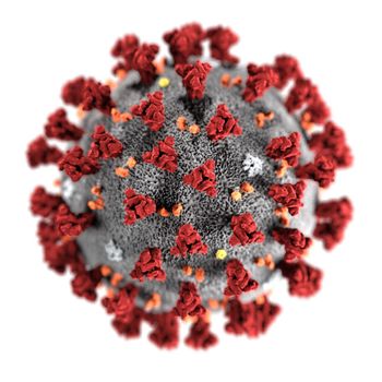 Coronavirus Covid-19