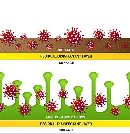 residual disinfectant layer