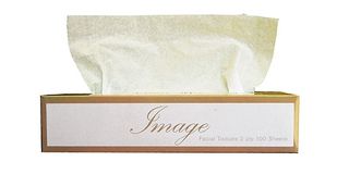 Image Facial Tissues 100sh/bx Ctn48 2ply