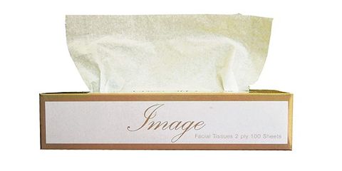 Image Facial Tissues 100sh/bx Ctn48 2ply