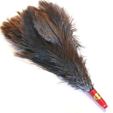 Ostrich Feather Duster No. 6 (Inverted)